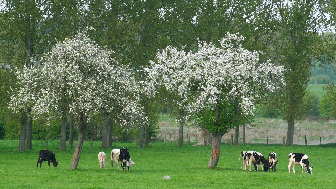 Photo of Others in Magny-le-Desert