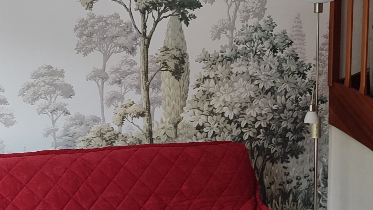 Photo of Livingroom in Thillot