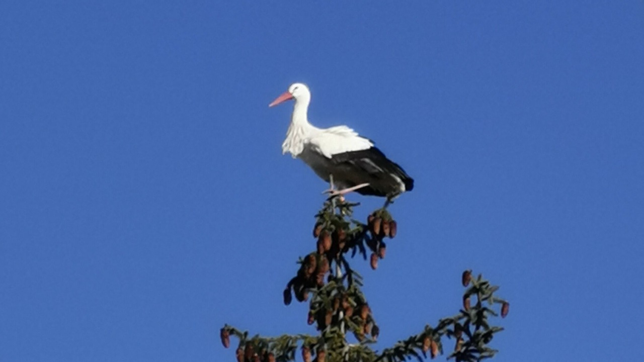 Photo of Others in Griesheim-pres-Molsheim