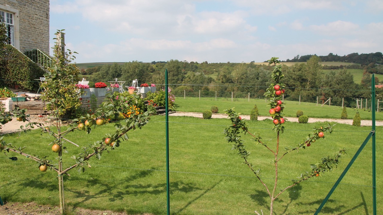 Photo of Outdoor in Wimille