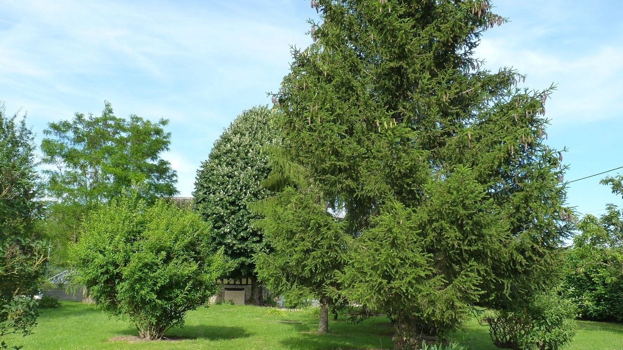Photo of Outdoor in Bar-sur-Aube