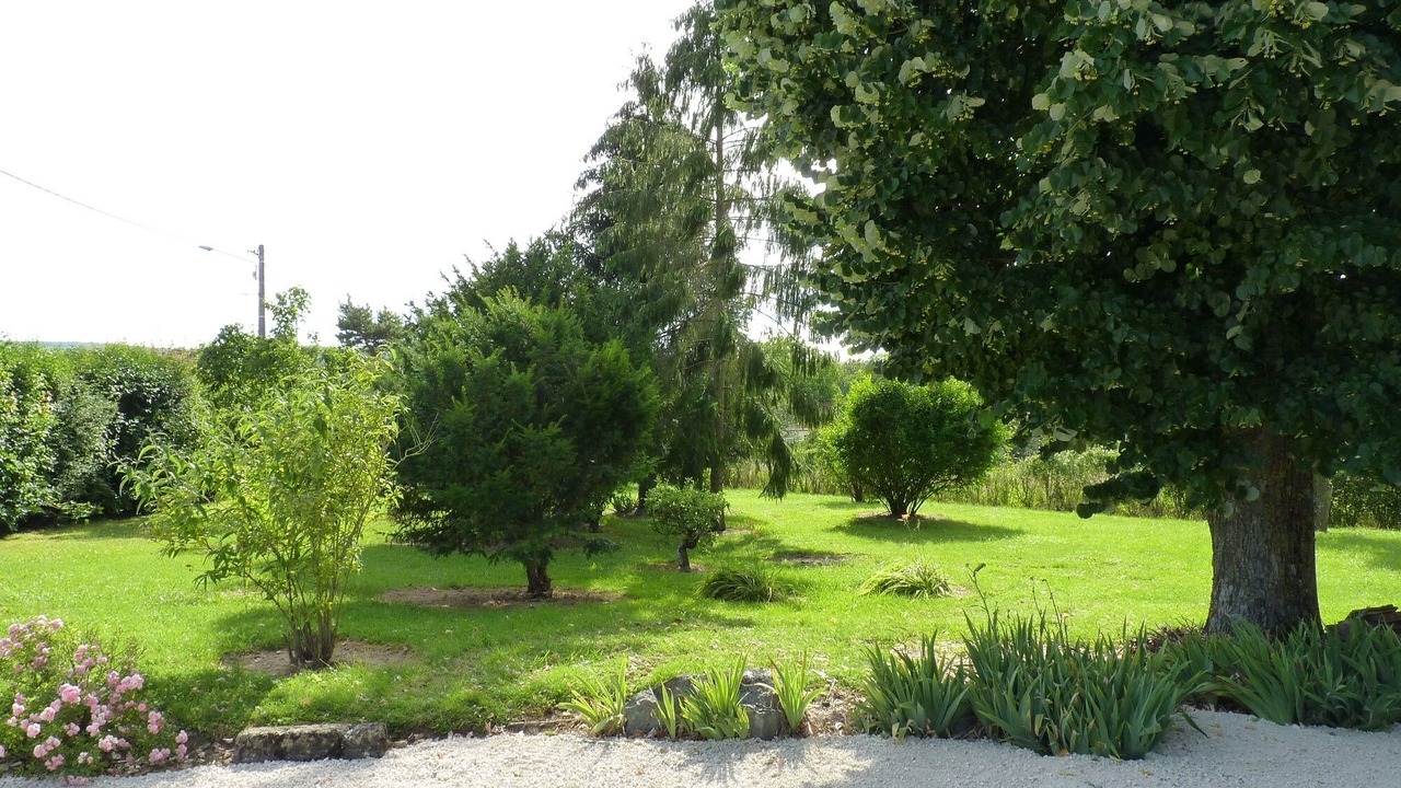 Photo of Outdoor in Bar-sur-Aube