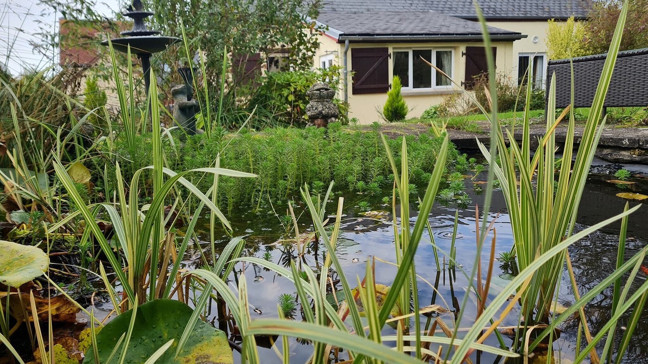 Photo of Outdoor in Ceauce