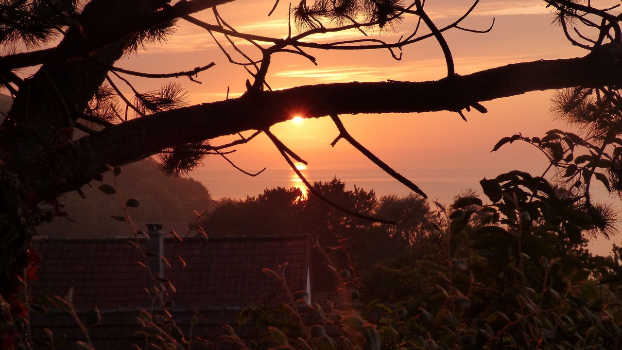 Photo of Outdoor in Saint-Martin-en-Campagne