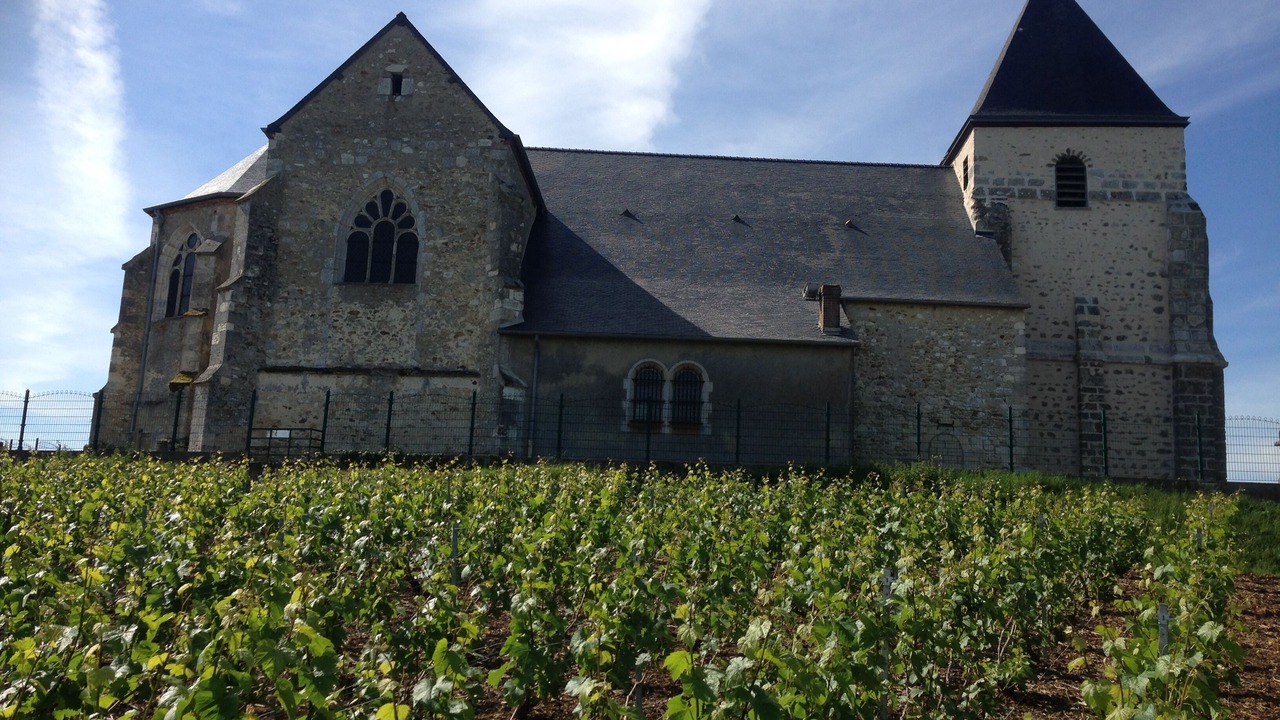 Photo of Outdoor in Chavot-Courcourt