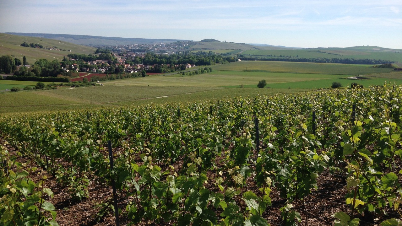 Photo of Outdoor in Chavot-Courcourt