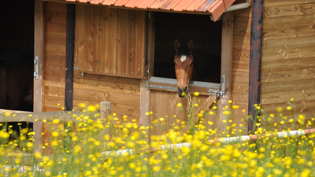 Photo of Outdoor in Desvres