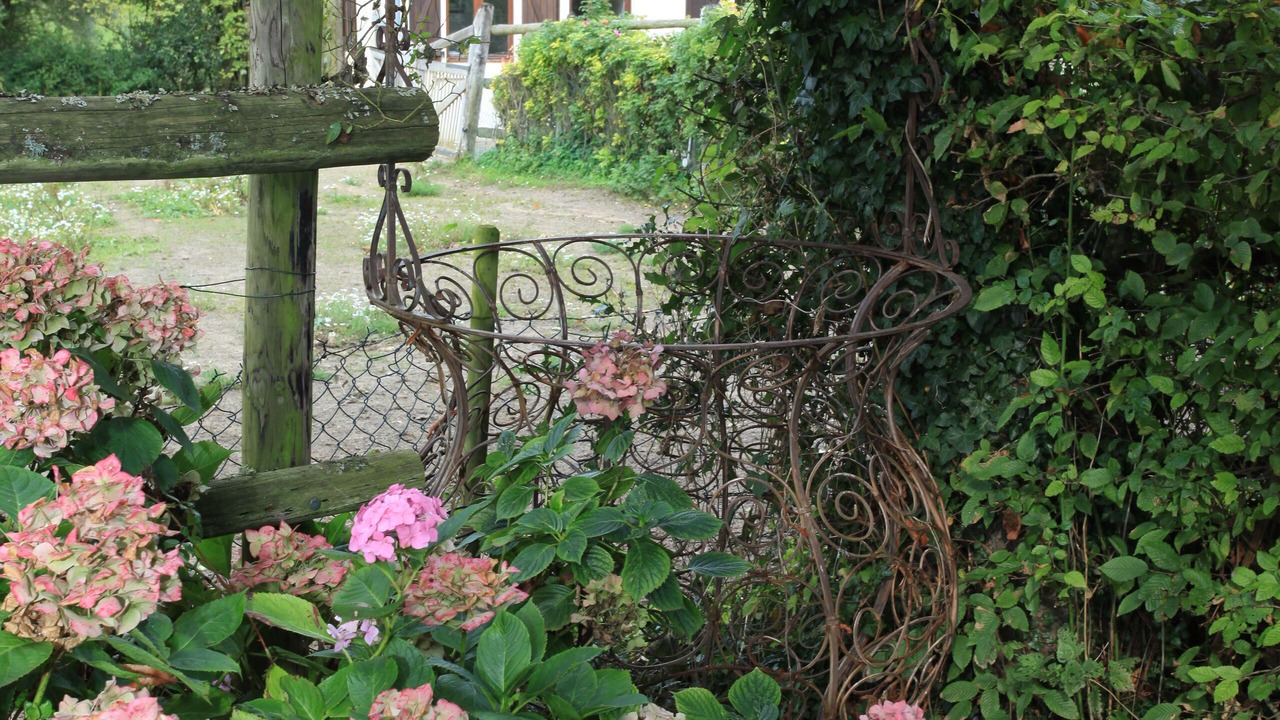 Photo of Outdoor in Desvres