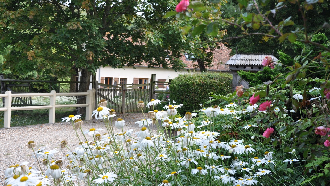 Photo of Outdoor in Desvres