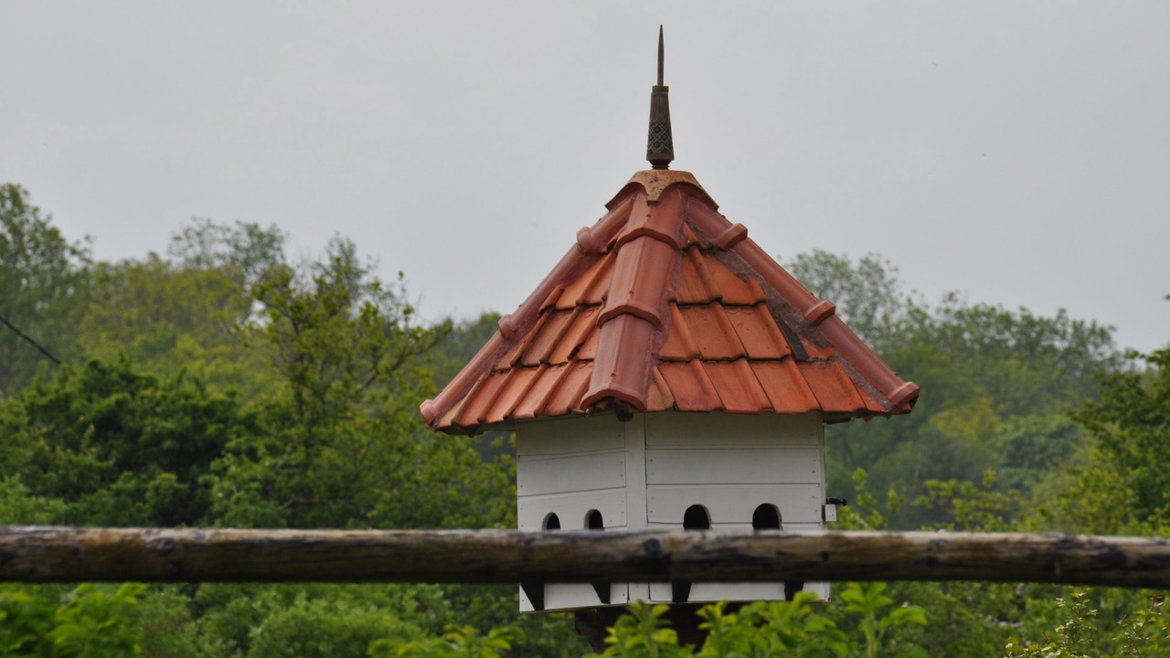 Photo of Outdoor in Desvres