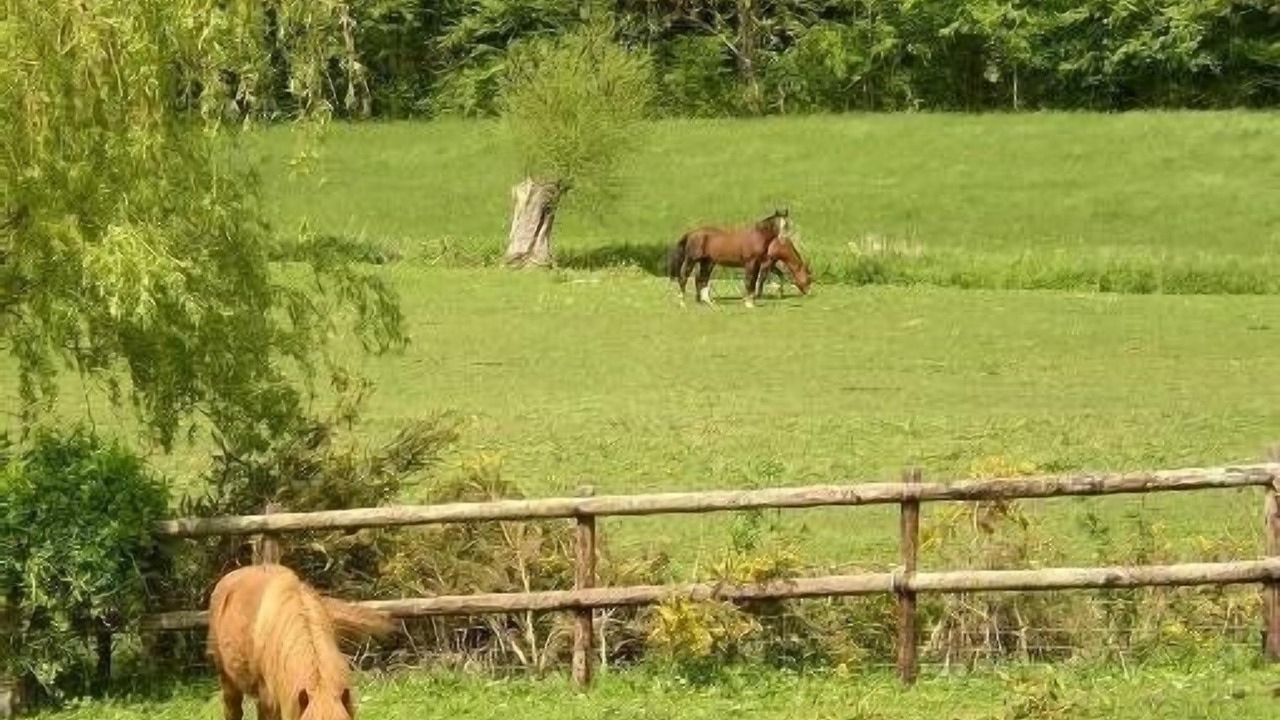 Photo of Outdoor in Desvres