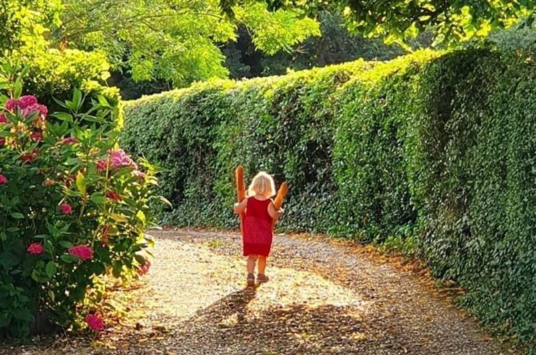 Photo of Outdoor in Desvres