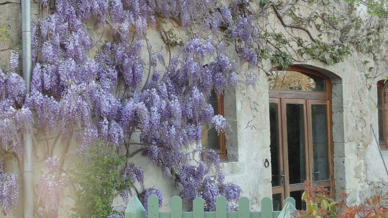 Photo of Outdoor in Dirol