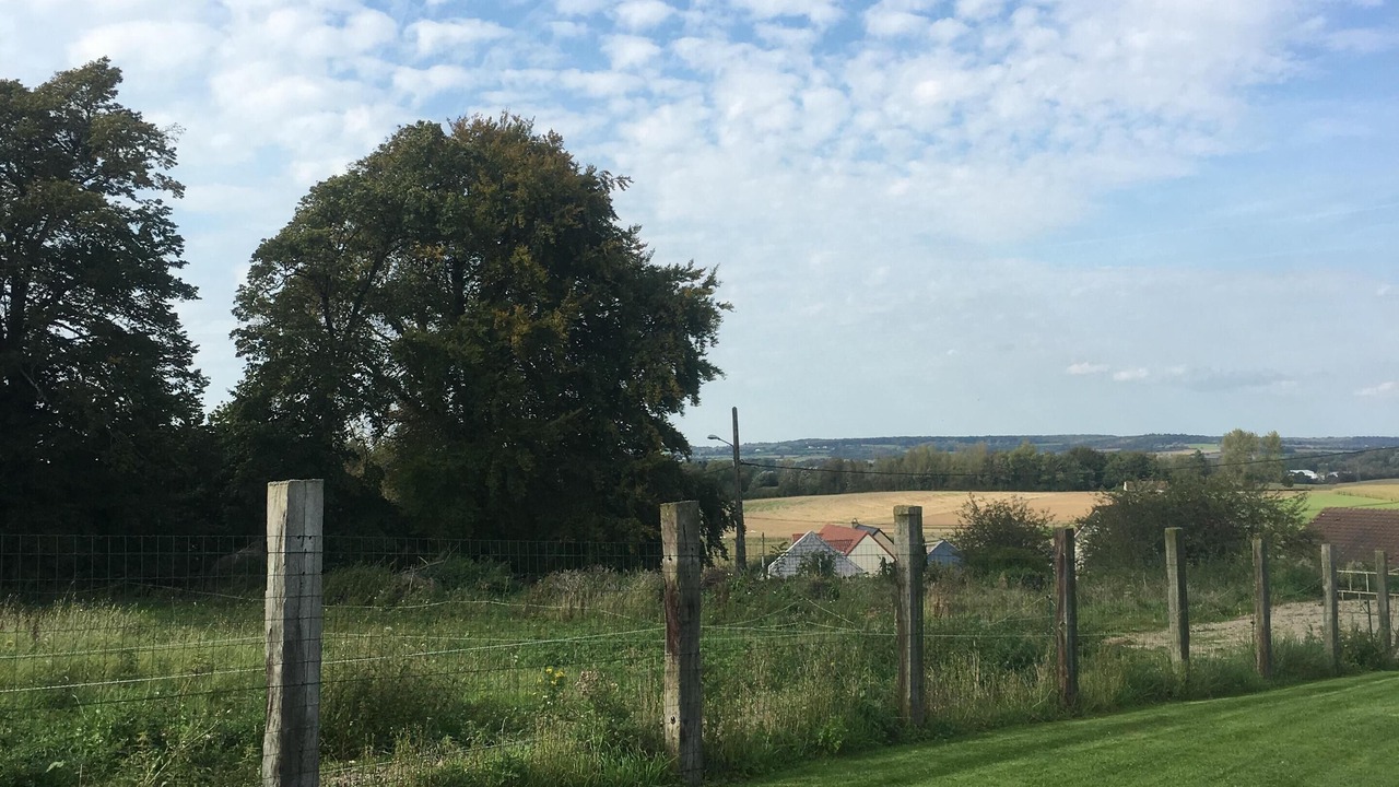 Photo of Outdoor in Tingry