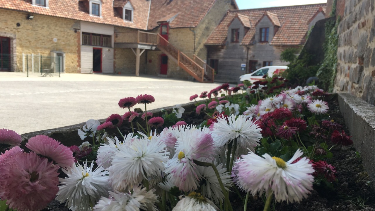 Photo of Outdoor in Tingry