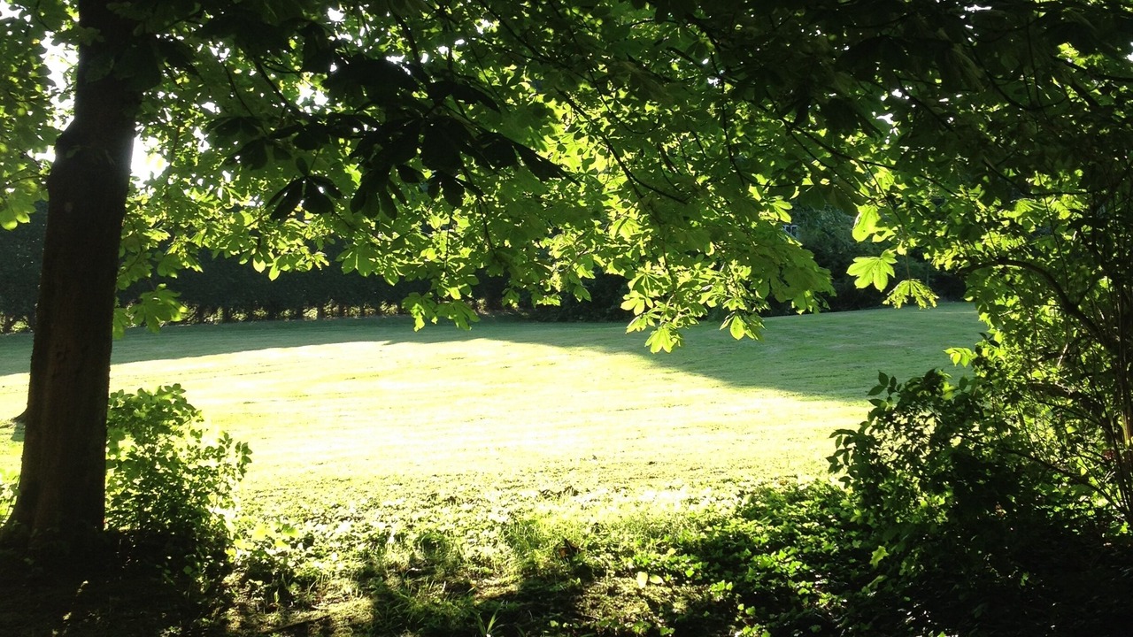 Photo of Outdoor in La Capelle-les-Boulogne