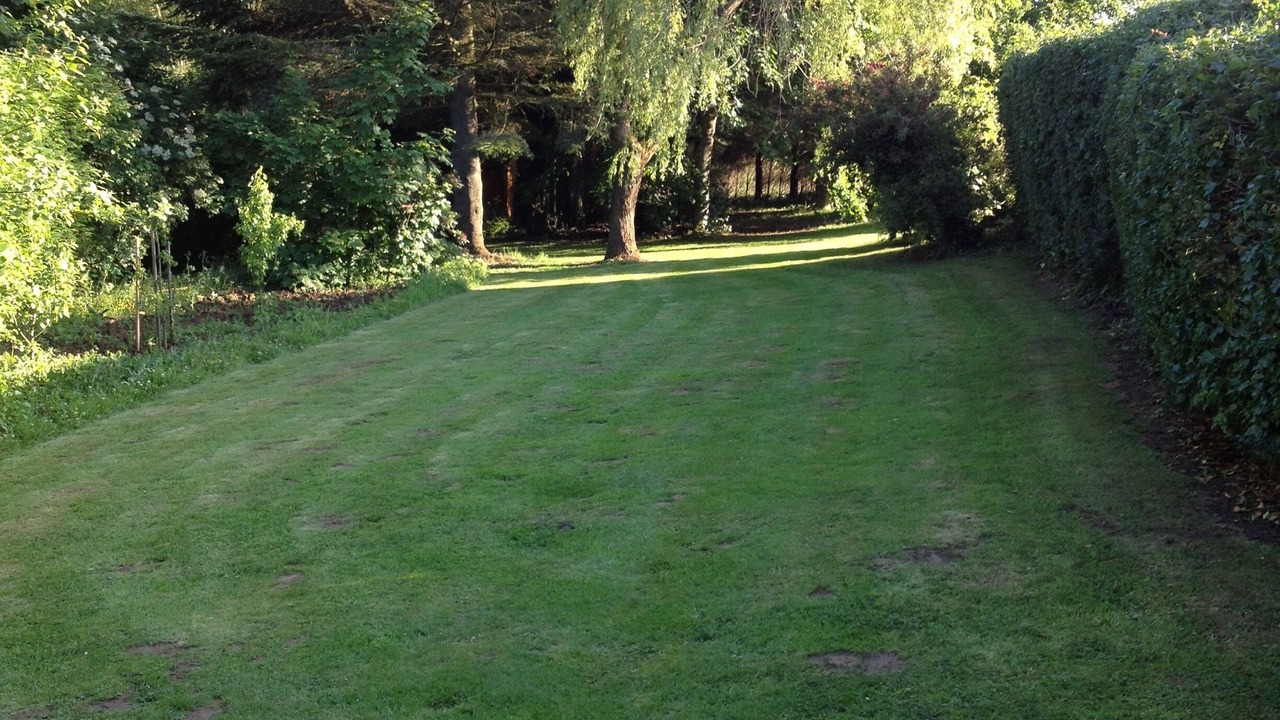 Photo of Outdoor in La Capelle-les-Boulogne