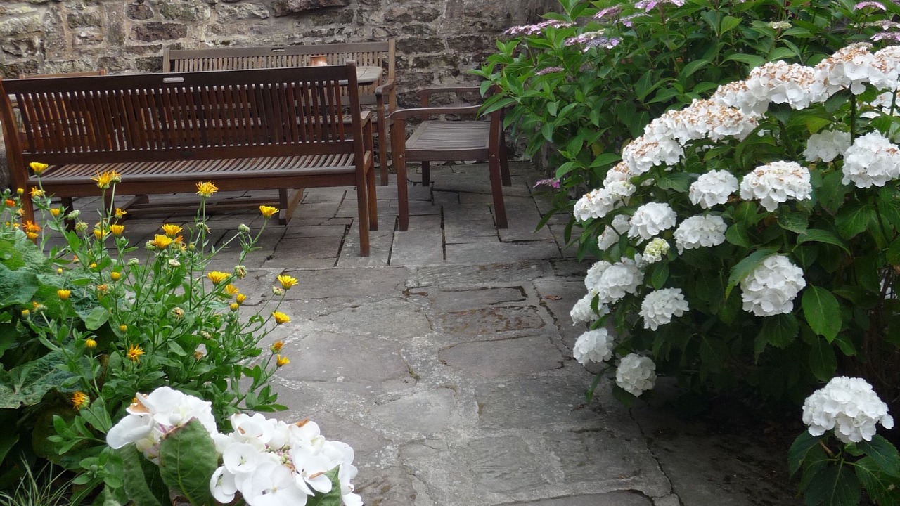 Photo of Outdoor in Schœnbourg