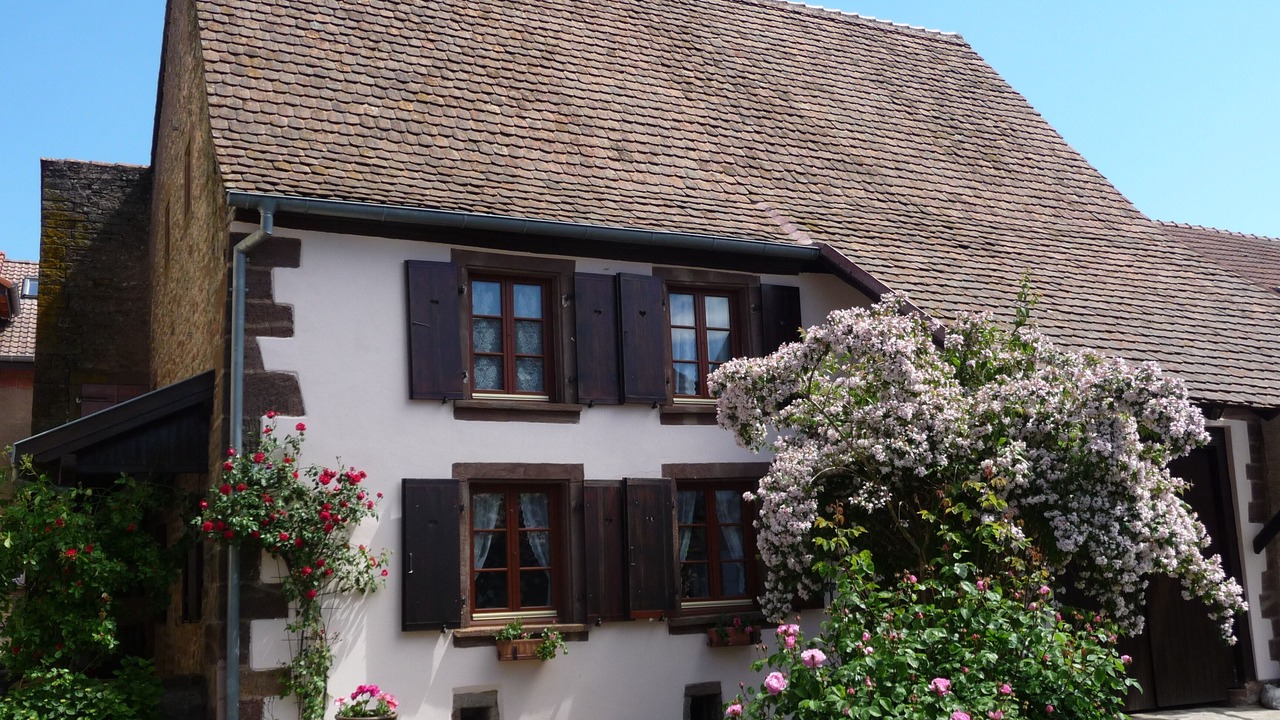 Photo of Outdoor in Schœnbourg