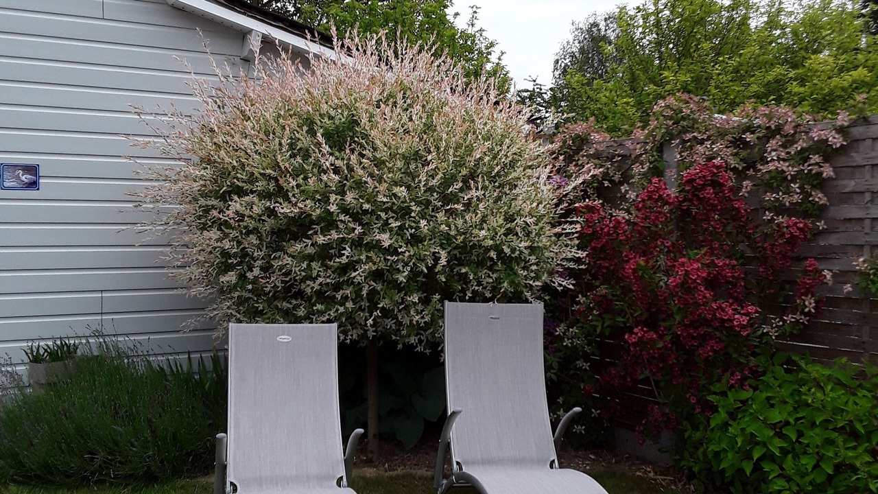 Photo of Outdoor in Ancourt