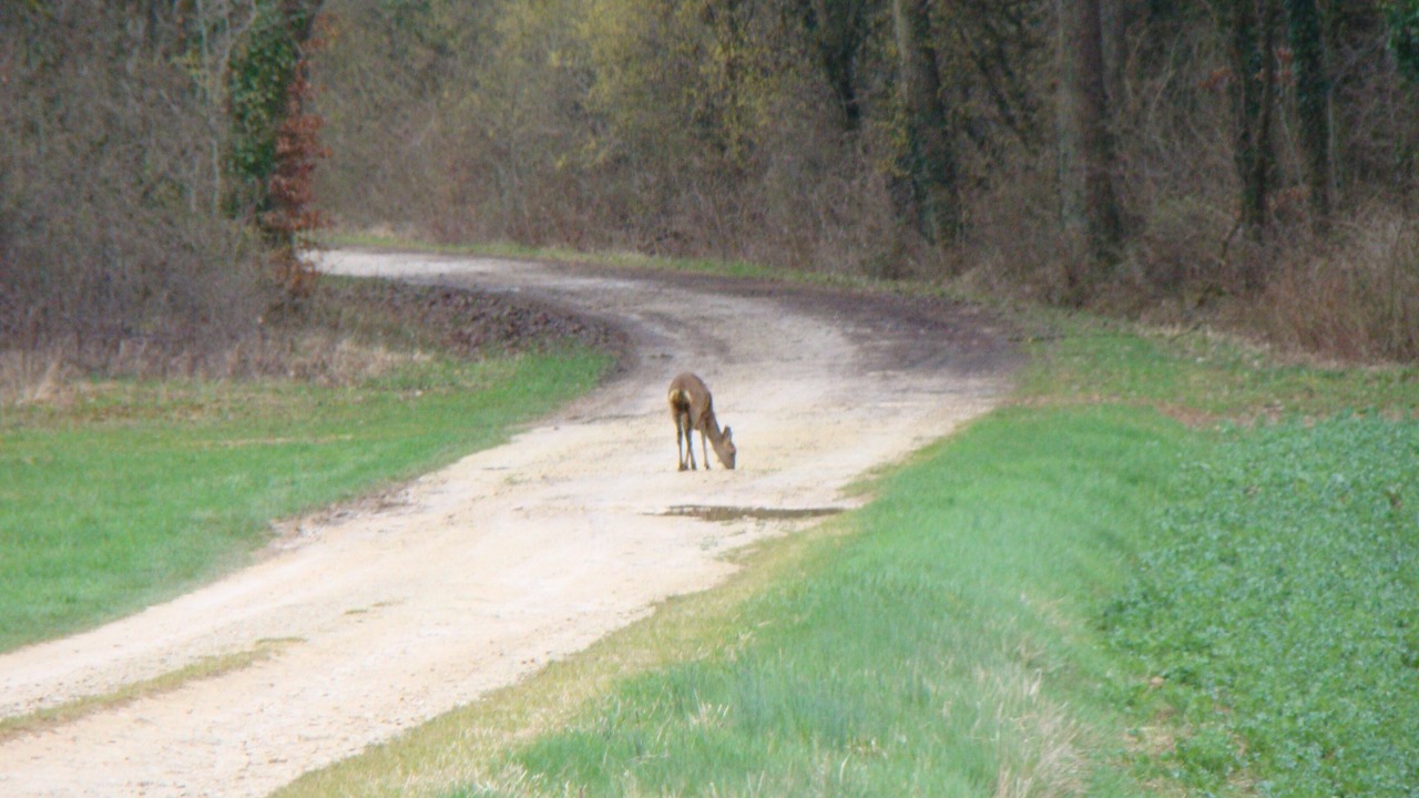 Photo of Others in Jully