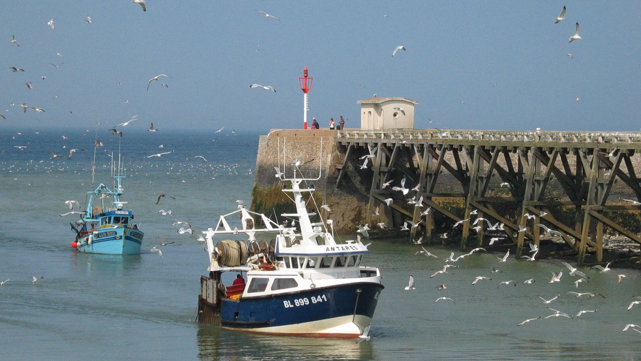Photo of Others in Le Treport