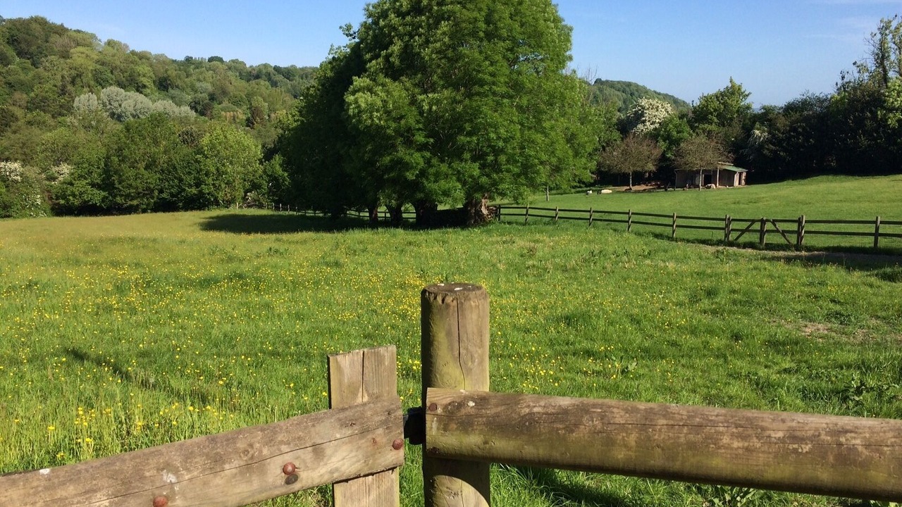 Photo of Outdoor in La Riviere-Saint-Sauveur