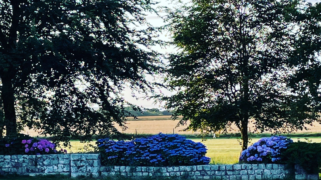 Photo of Outdoor in Neville