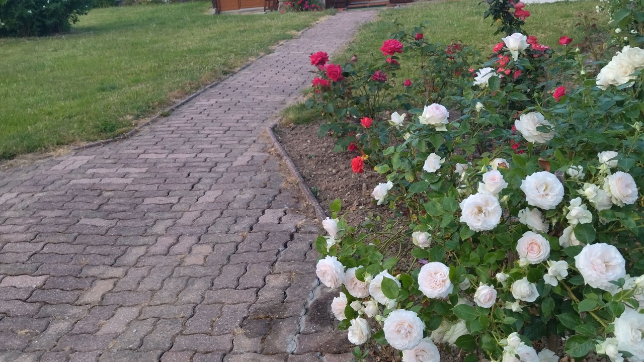 Photo of Outdoor in Eps