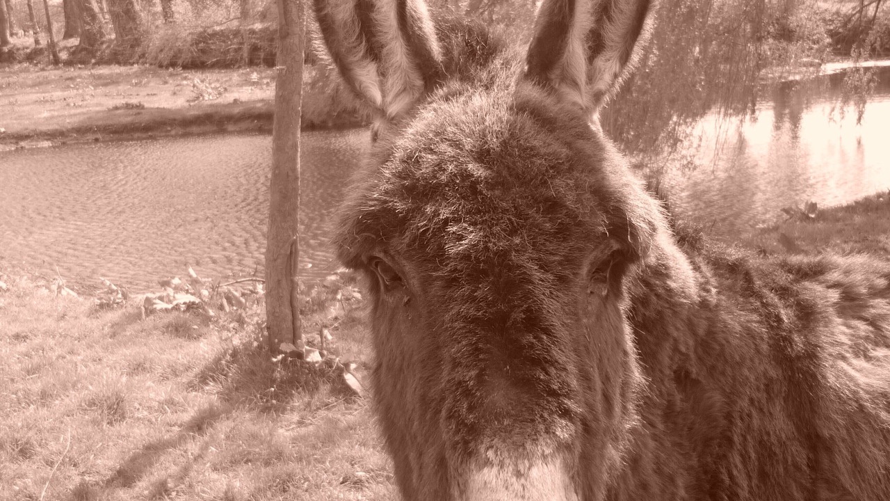 Photo of Others in Bennetot