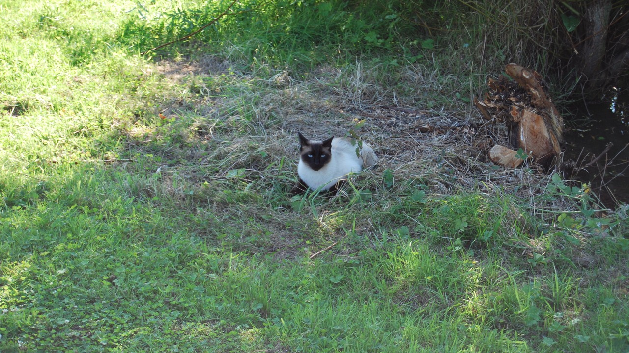 Photo of Outdoor in Cormeilles