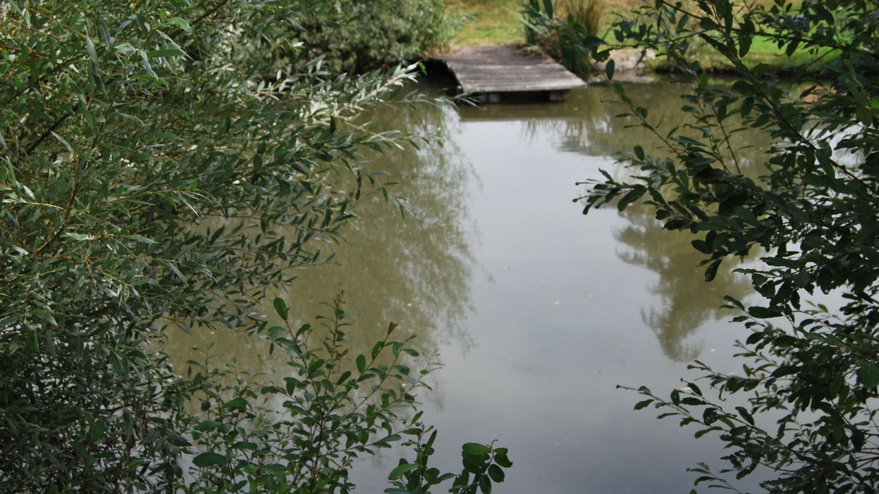 Photo of Outdoor in Cormeilles