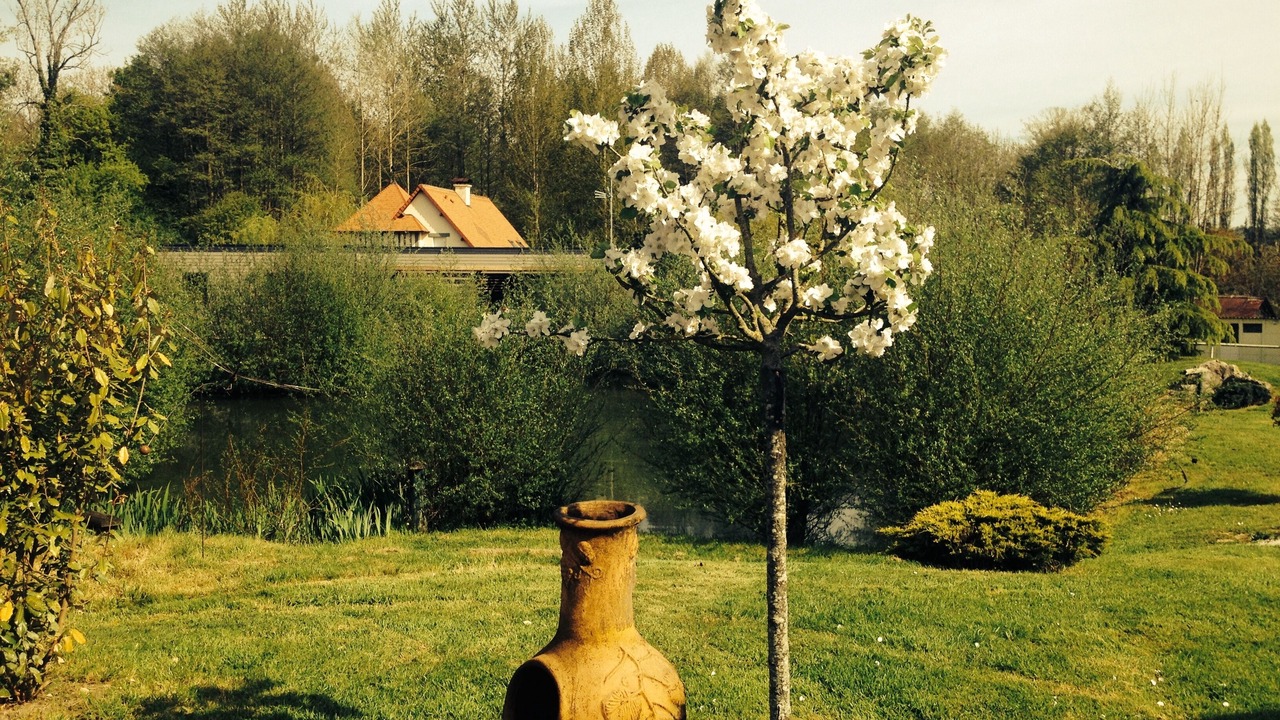 Photo of Outdoor in Cormeilles