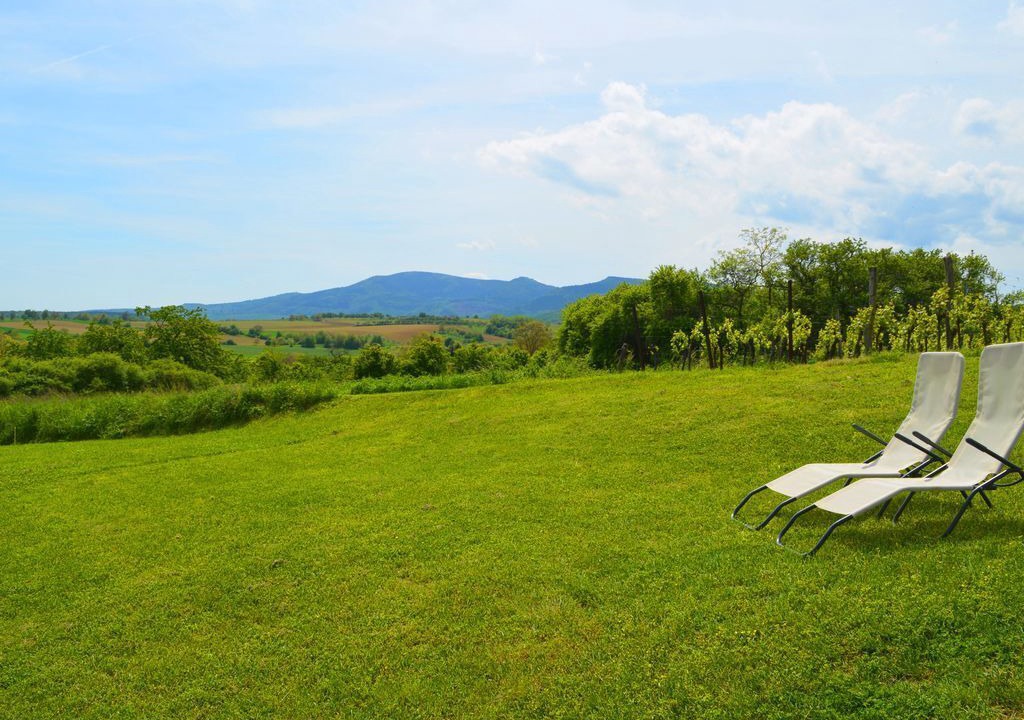Photo of Outdoor in Rosheim