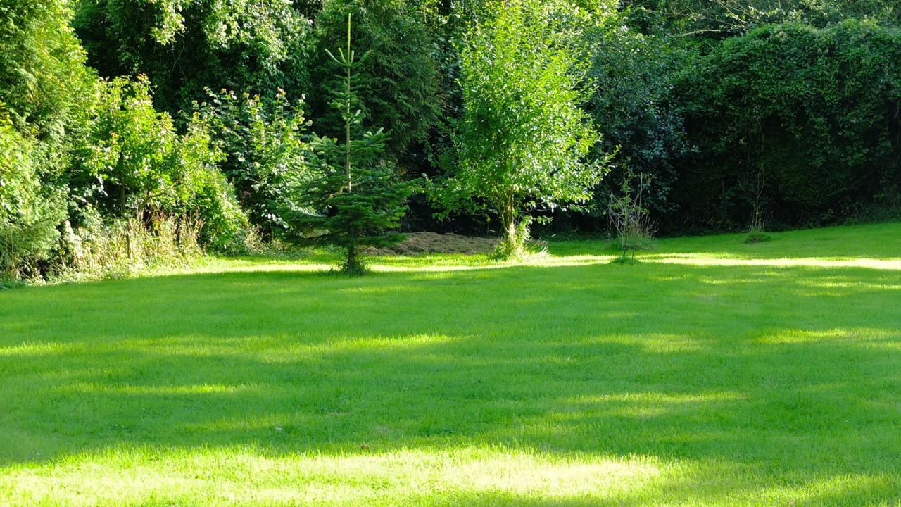 Photo of Outdoor in Bailly-en-Riviere