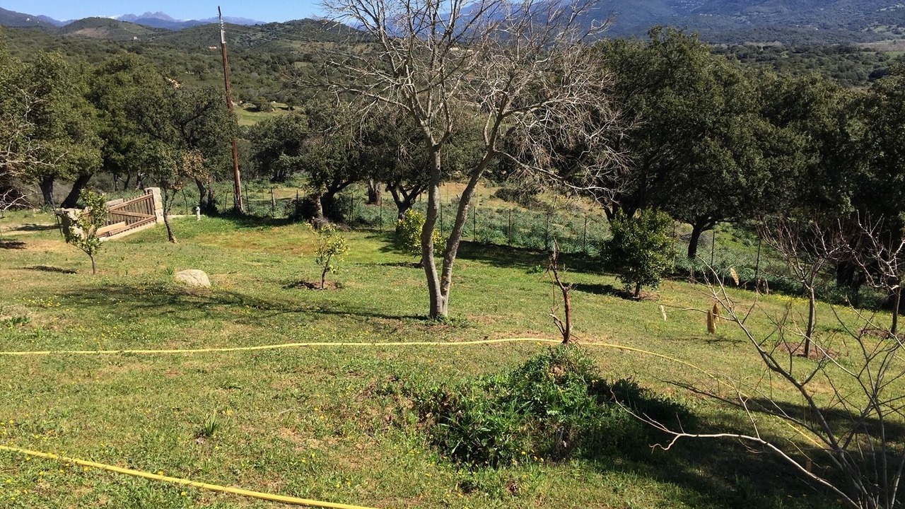 Photo of Outdoor in Serra-di-Ferro