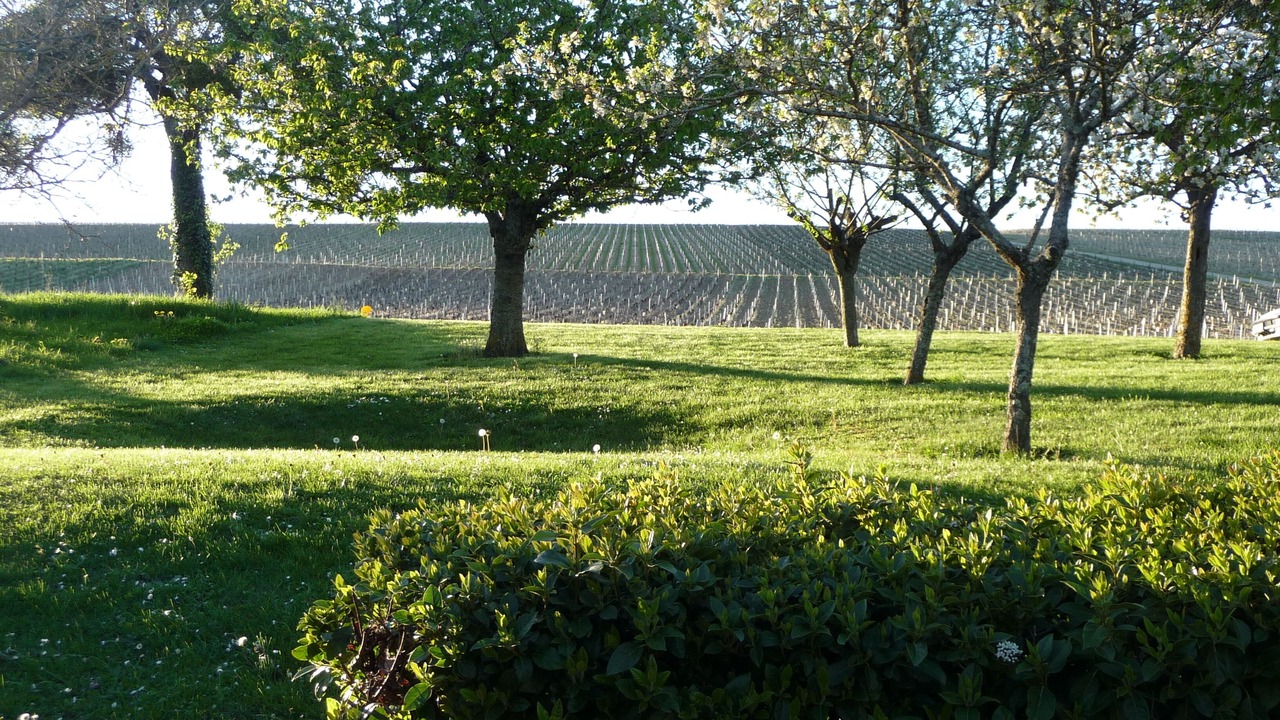 Photo of Outdoor in Verdigny