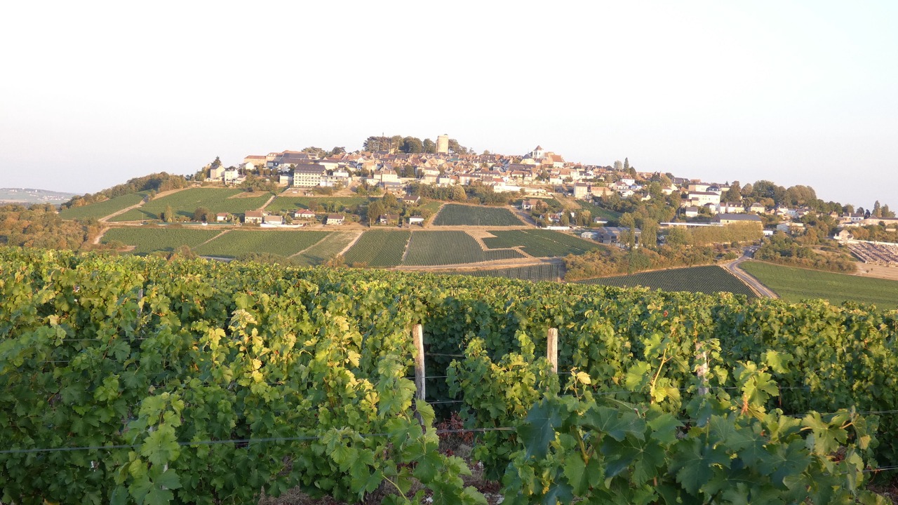 Photo of Outdoor in Verdigny