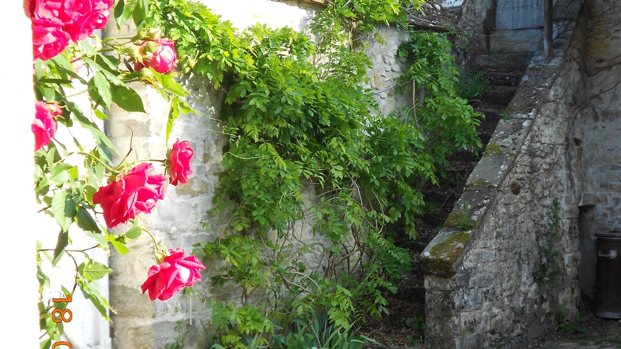 Photo of Outdoor in Villiers-sous-Grez