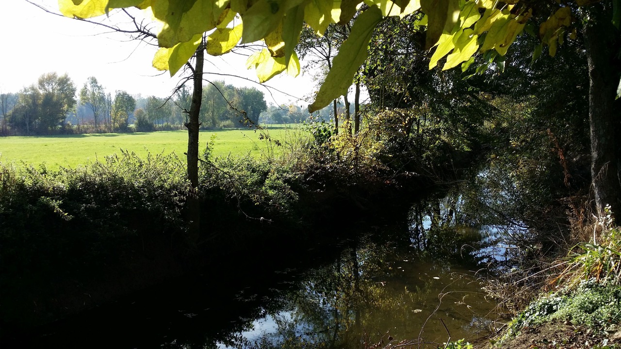 Photo of Outdoor in Bernot