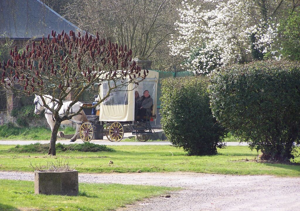 Photo of Outdoor in Vacqueriette-Erquieres