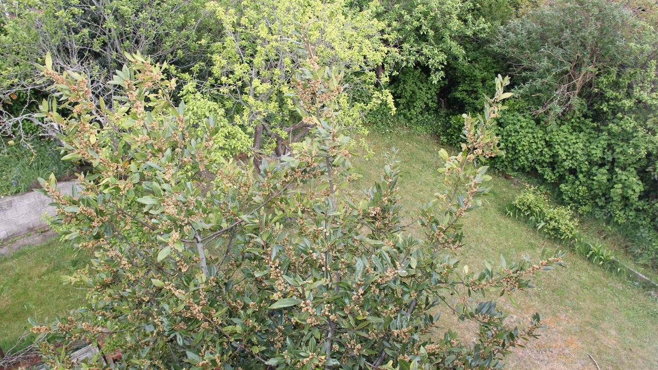 Photo of Outdoor in Bray-Dunes