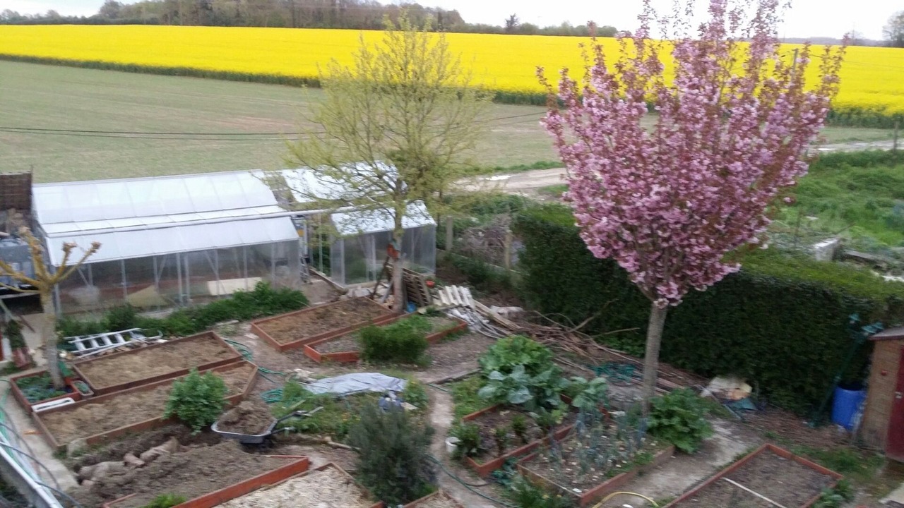 Photo of Outdoor in Crecy-en-Brie