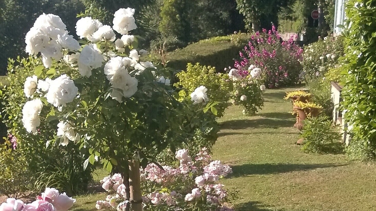 Photo of Outdoor in Veulettes-sur-Mer