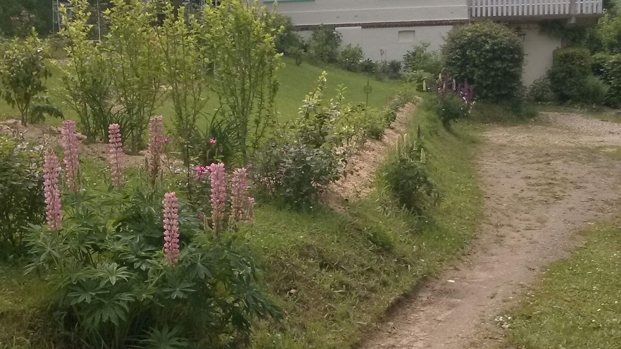 Photo of Outdoor in Veulettes-sur-Mer