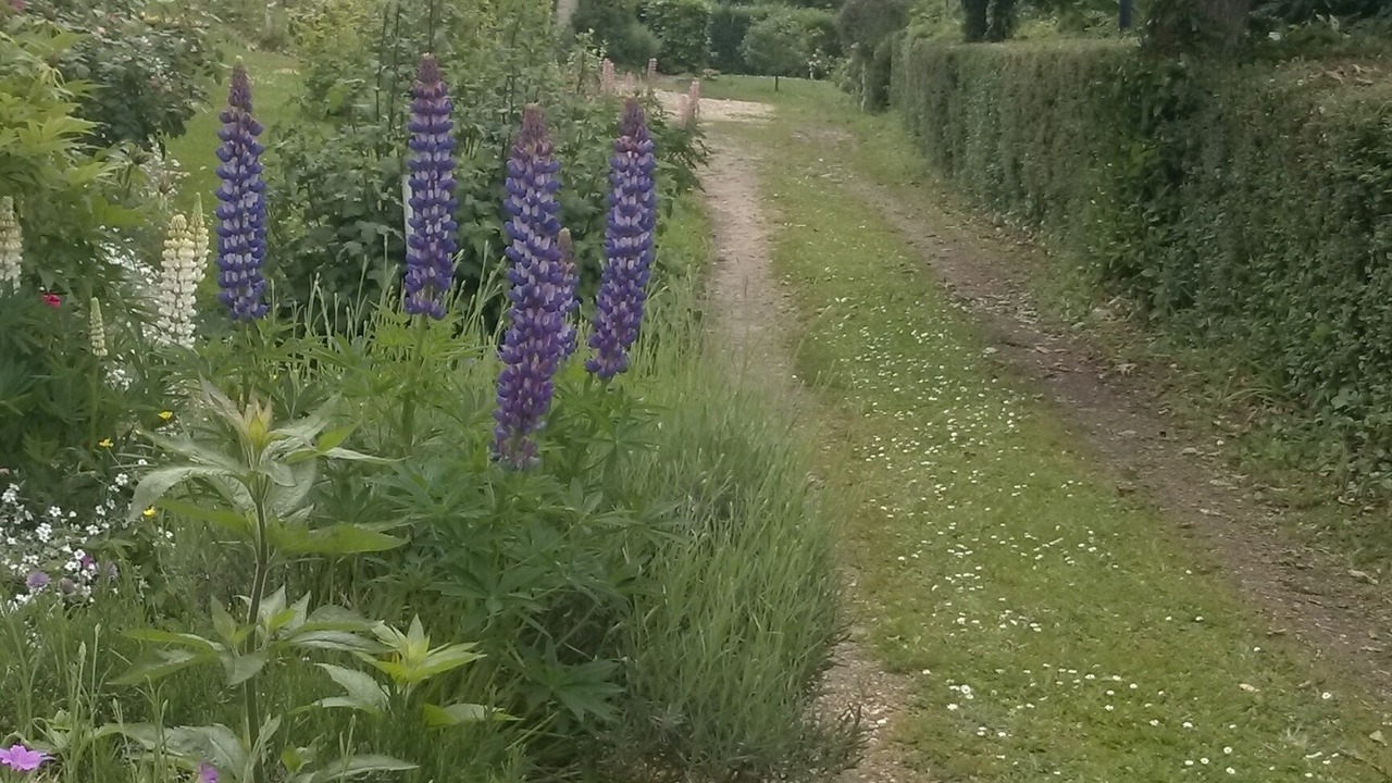 Photo of Outdoor in Veulettes-sur-Mer