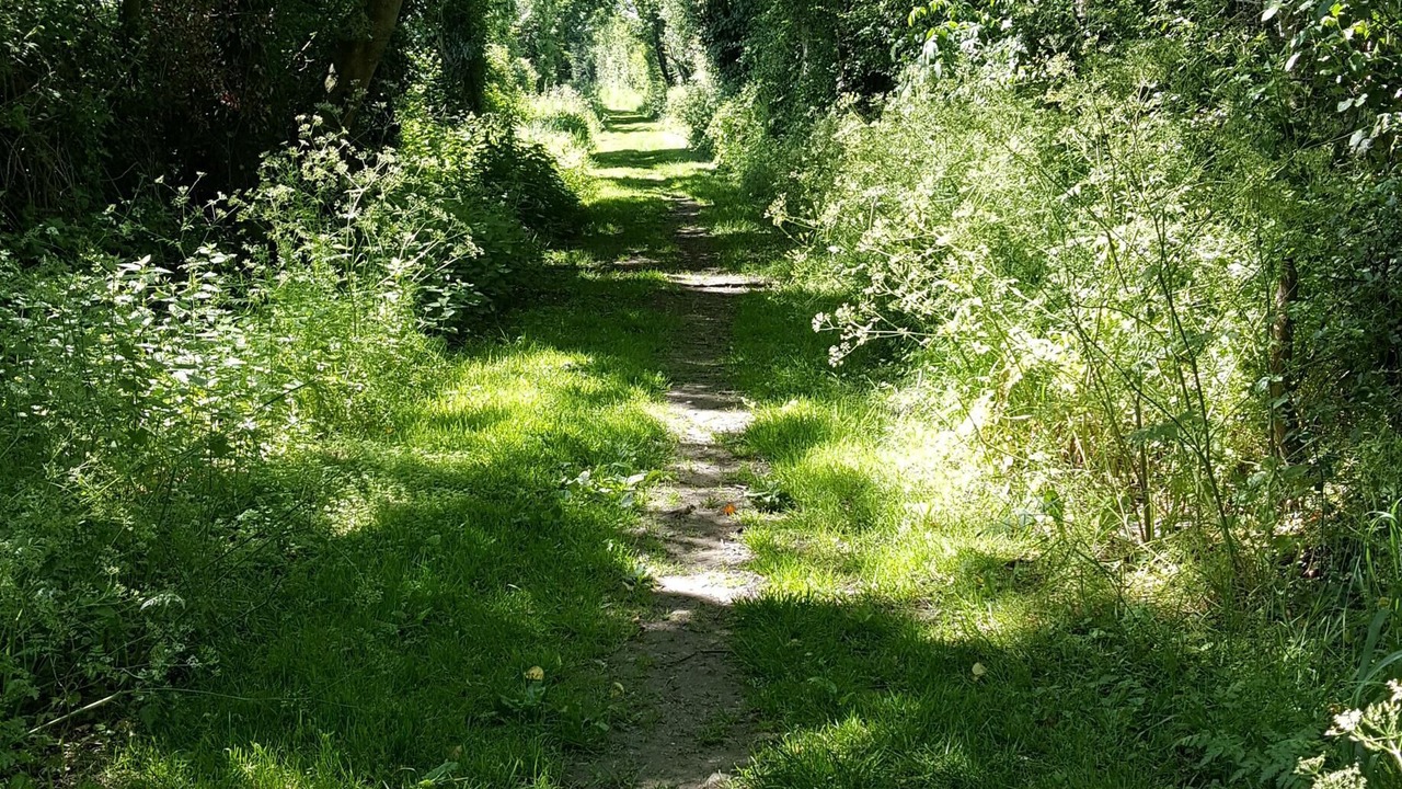 Photo of Outdoor in Buysscheure