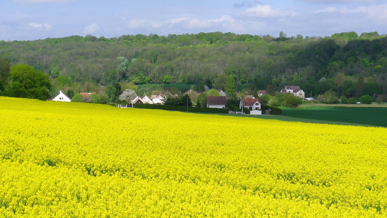 Photo of Others in Bouleurs
