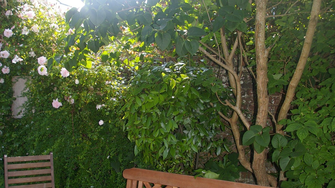 Photo of Patio Balcony in Yport