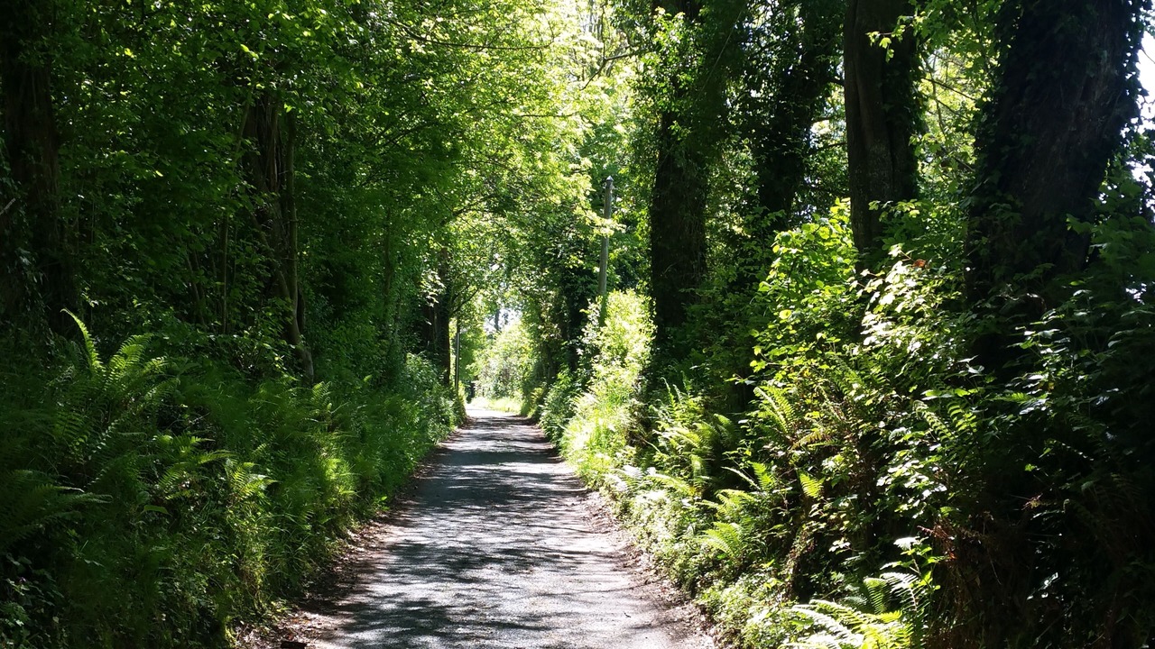 Photo of Outdoor in Manneville-la-Raoult